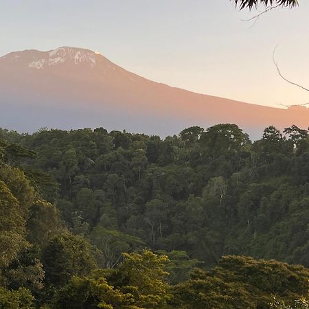 Kaliwa Lodge Μόσι Εξωτερικό φωτογραφία