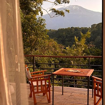 Kaliwa Lodge Μόσι Εξωτερικό φωτογραφία