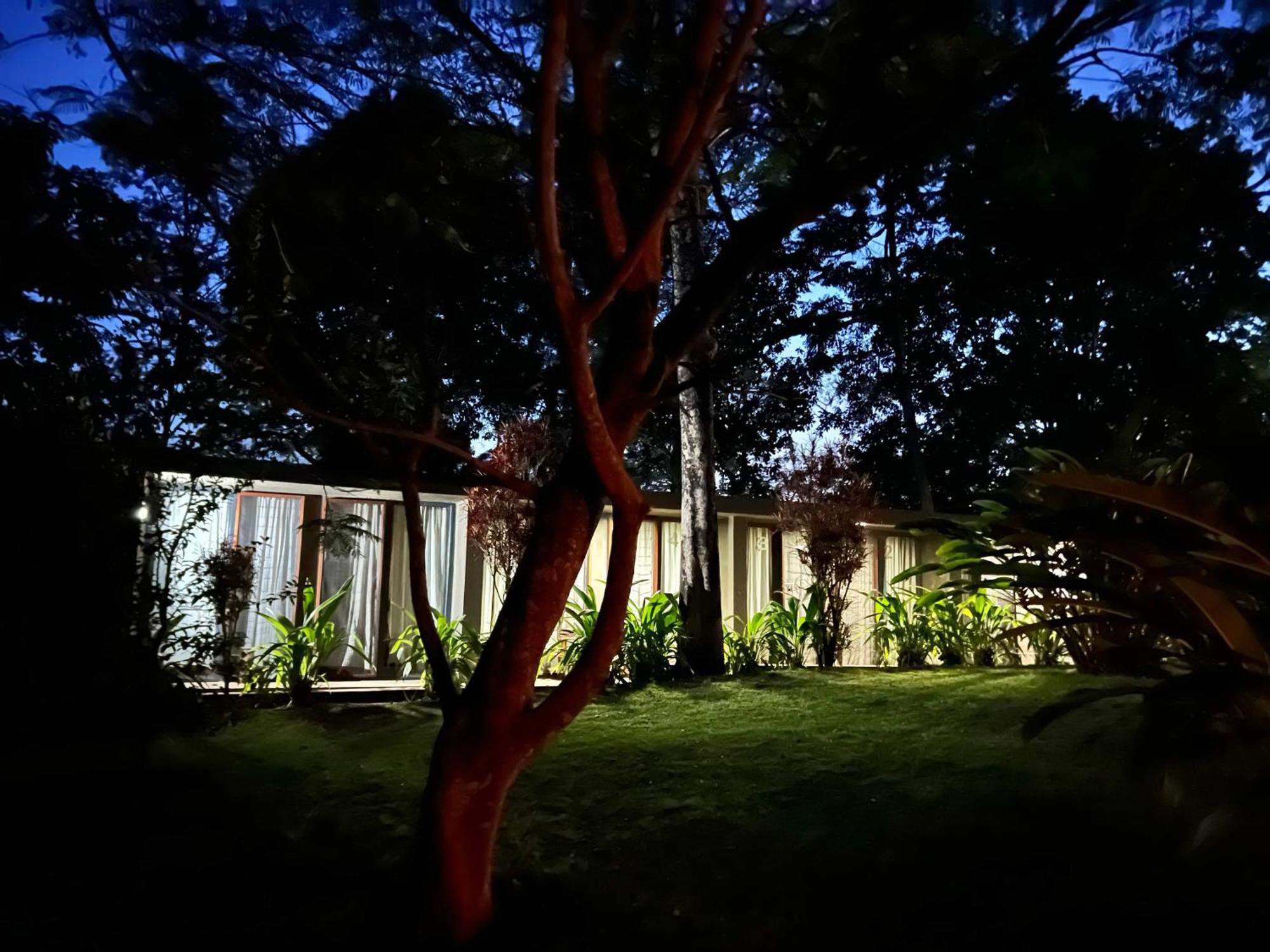 Kaliwa Lodge Μόσι Εξωτερικό φωτογραφία