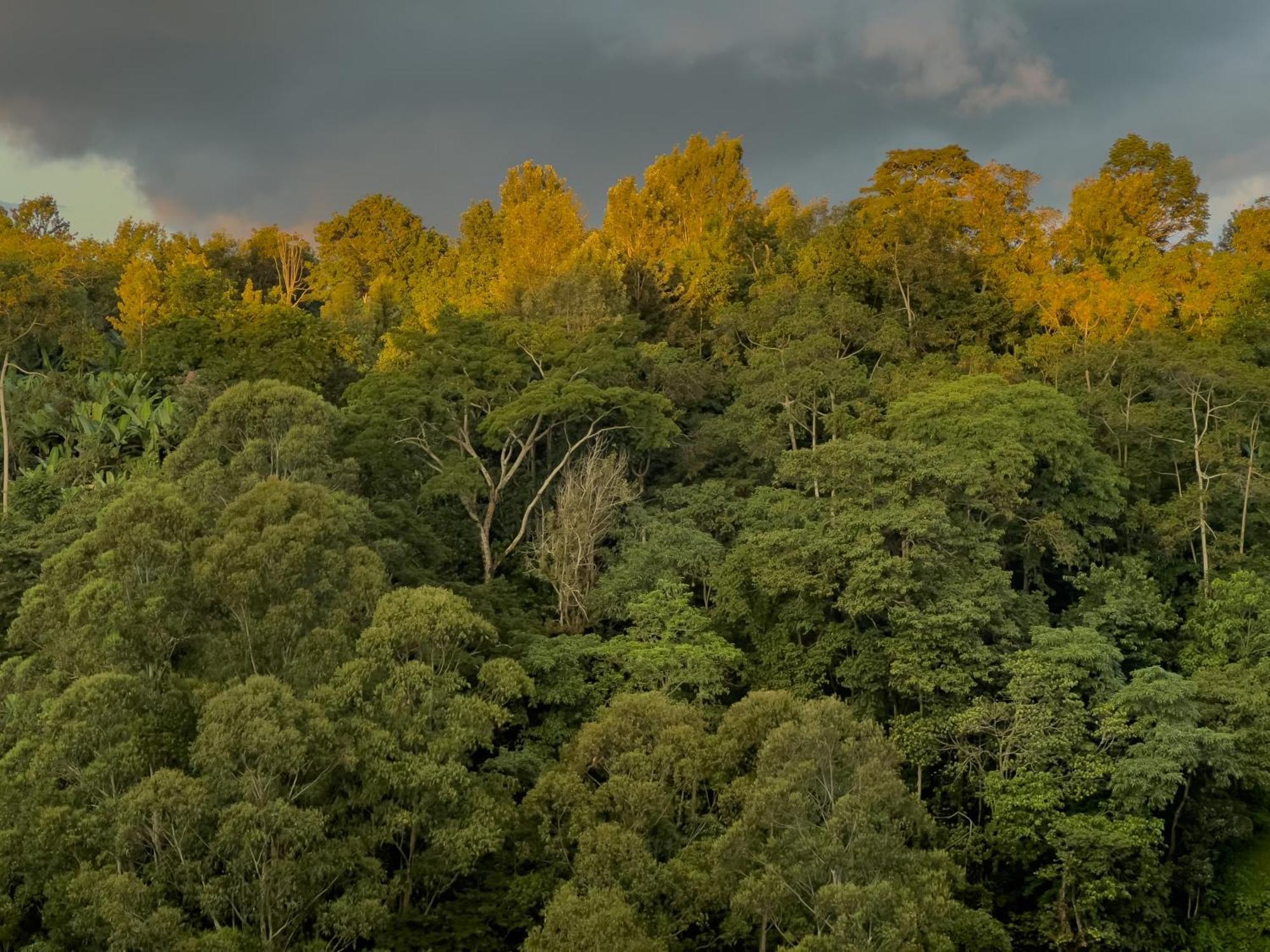 Kaliwa Lodge Μόσι Εξωτερικό φωτογραφία
