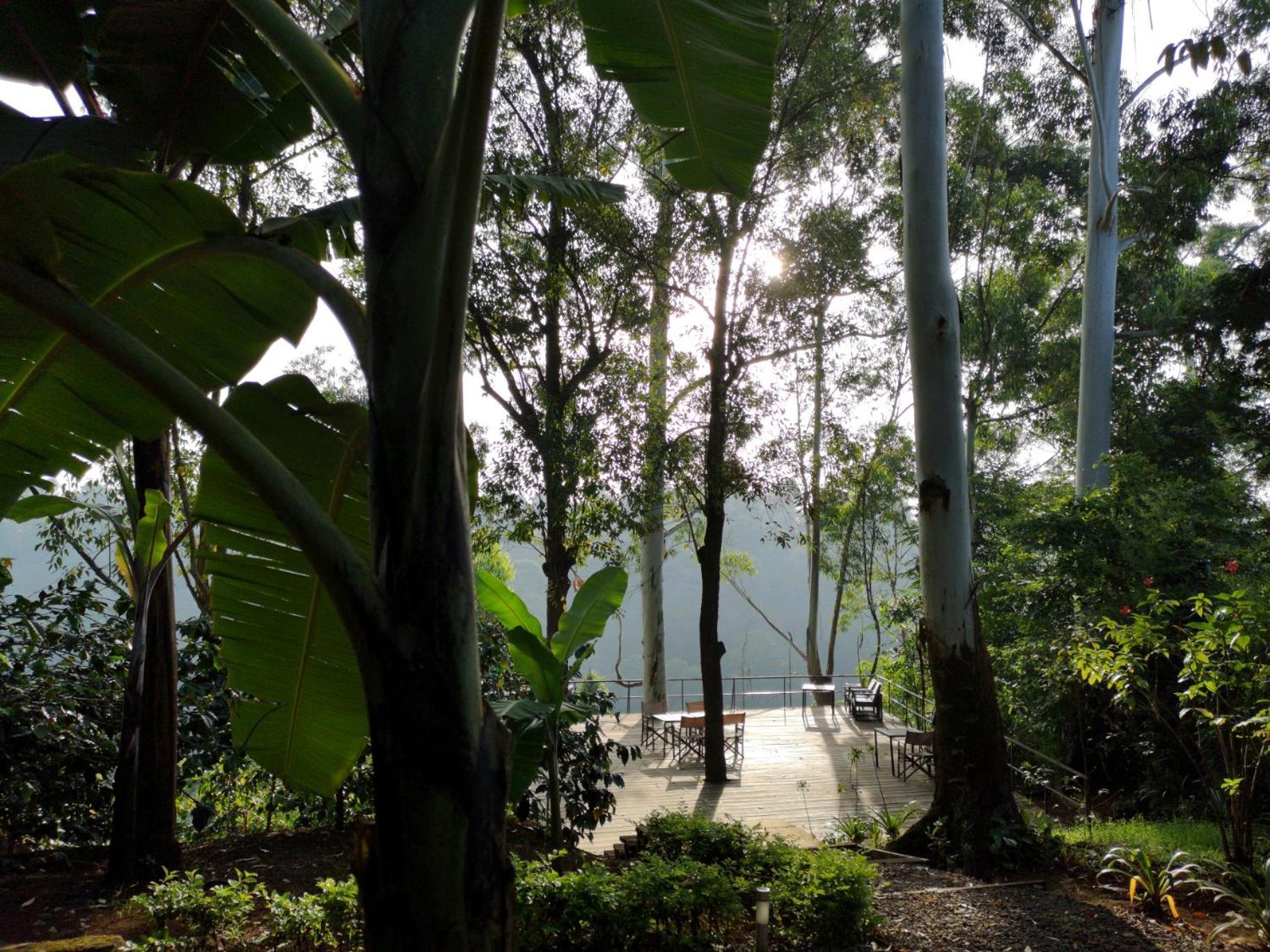 Kaliwa Lodge Μόσι Εξωτερικό φωτογραφία