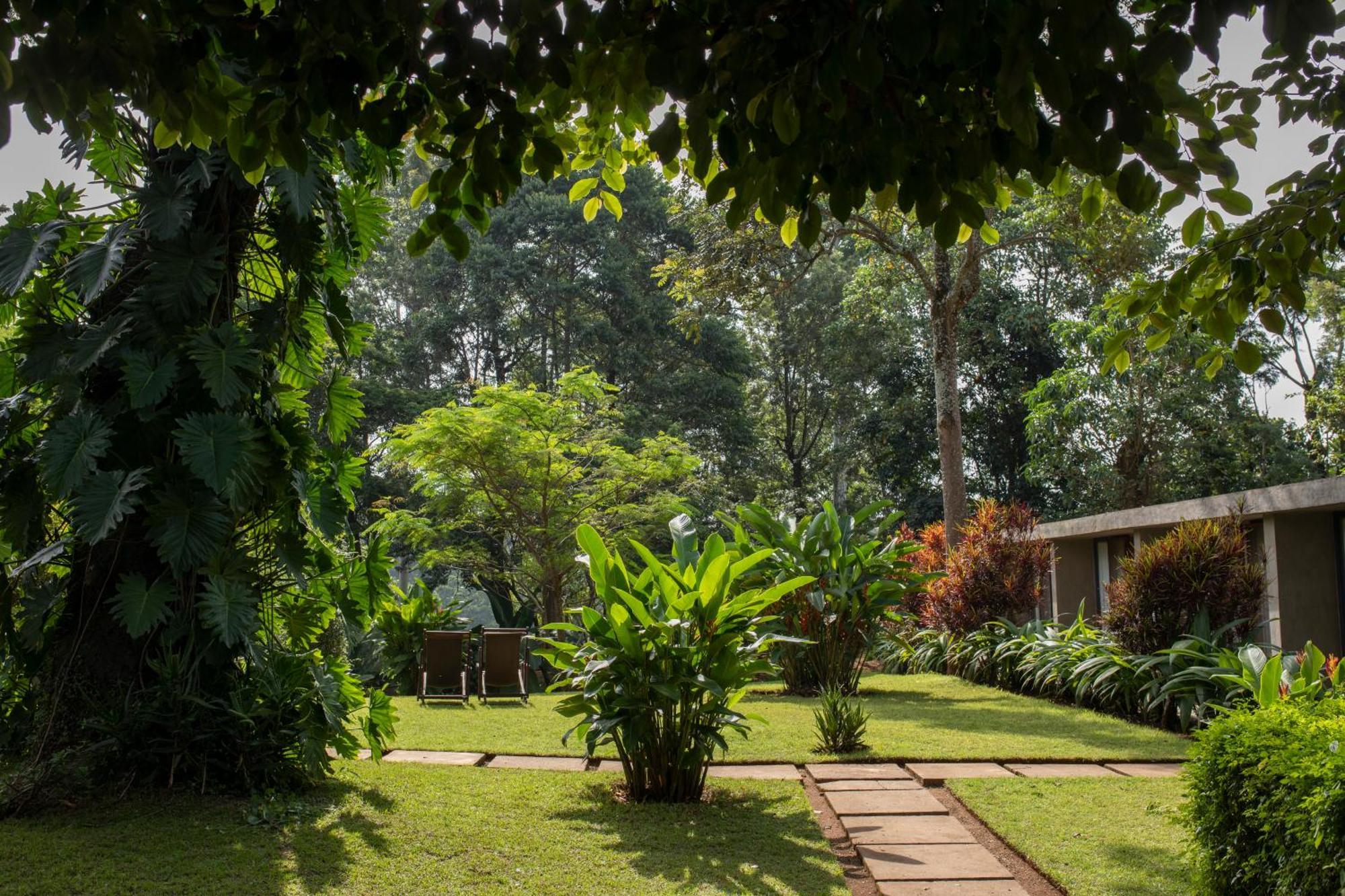 Kaliwa Lodge Μόσι Εξωτερικό φωτογραφία
