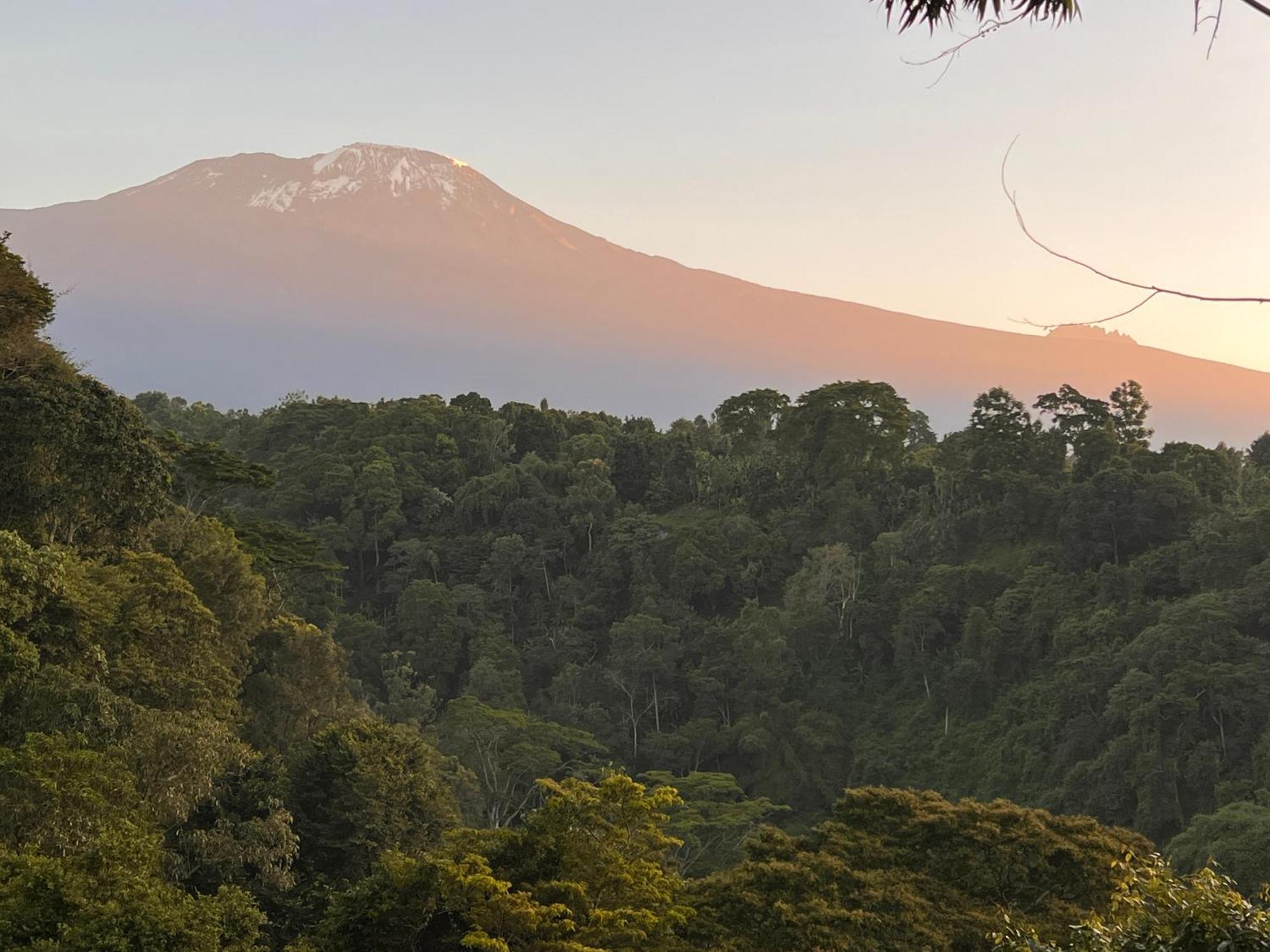 Kaliwa Lodge Μόσι Εξωτερικό φωτογραφία