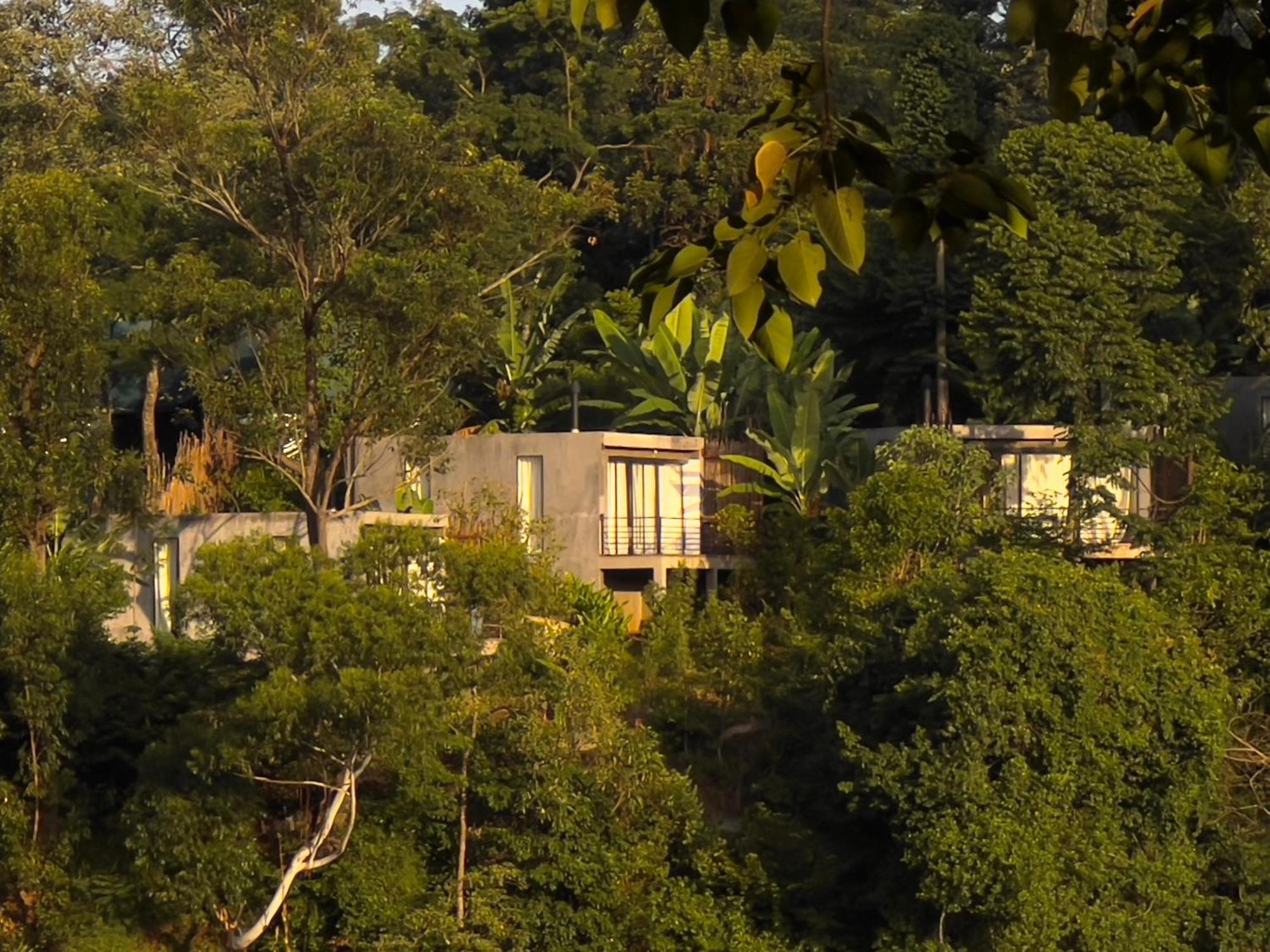 Kaliwa Lodge Μόσι Εξωτερικό φωτογραφία